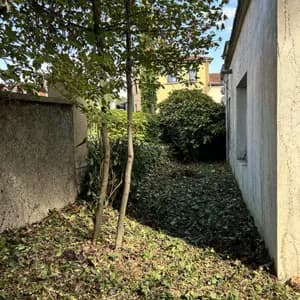 Après — espace débroussaillé et mur dégagé