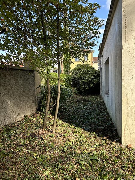 Automne au jardin : les 8 tâches essentielles avant l'hiver
