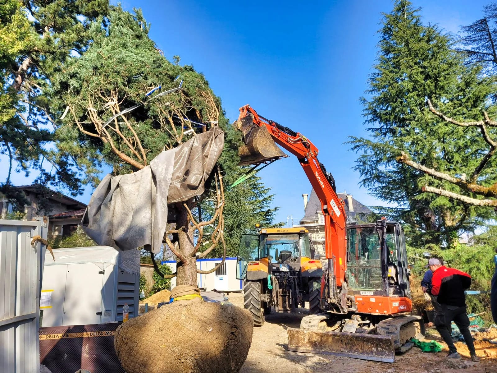 Pelleteuse extrayant une grosse souche d’arbre lors d’un abattage à Limonest