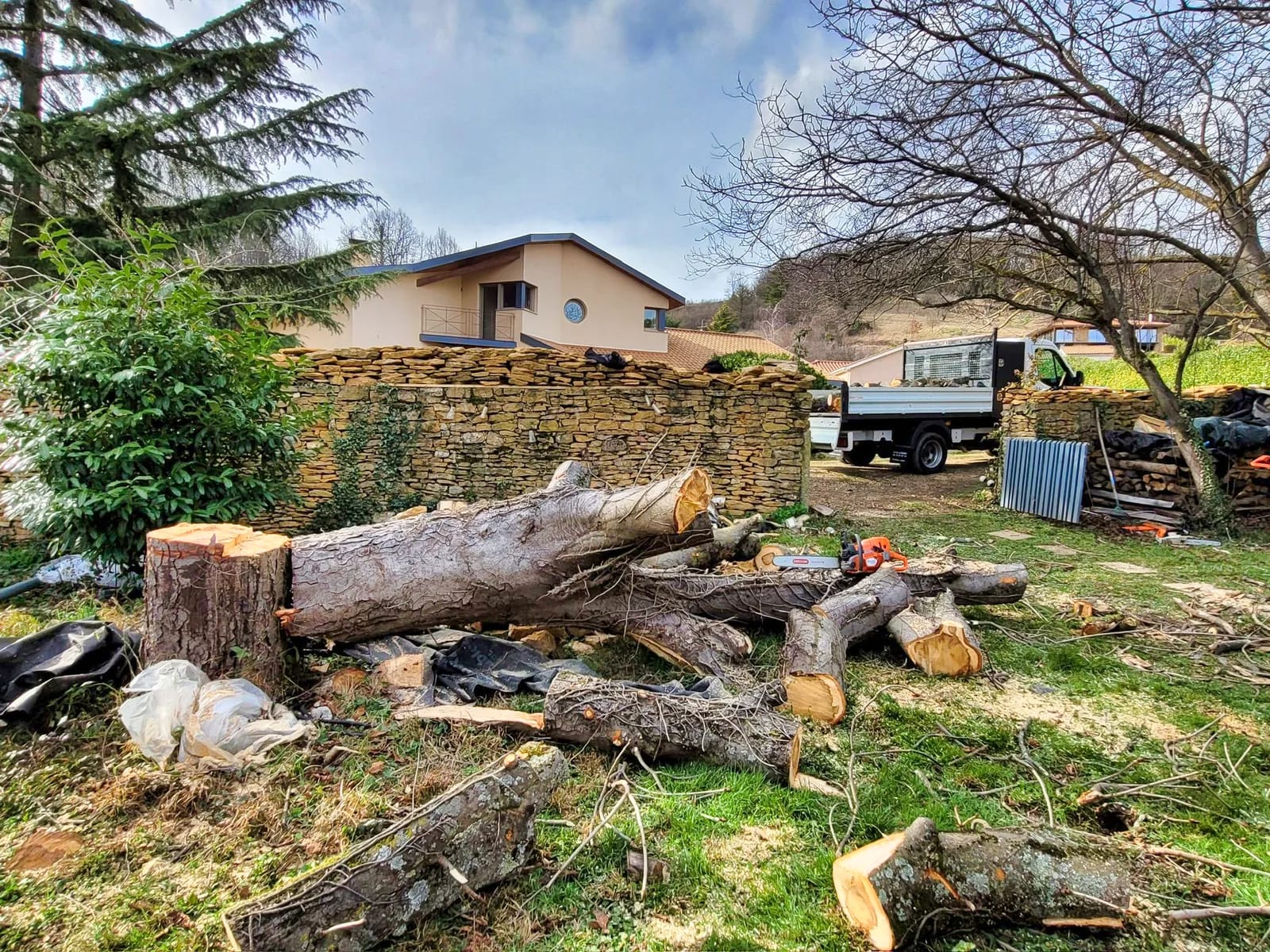 Tronc d’arbre abattu et bûches prêtes à être évacuées sur un chantier à Saint-Didier-au-Mont-d’Or